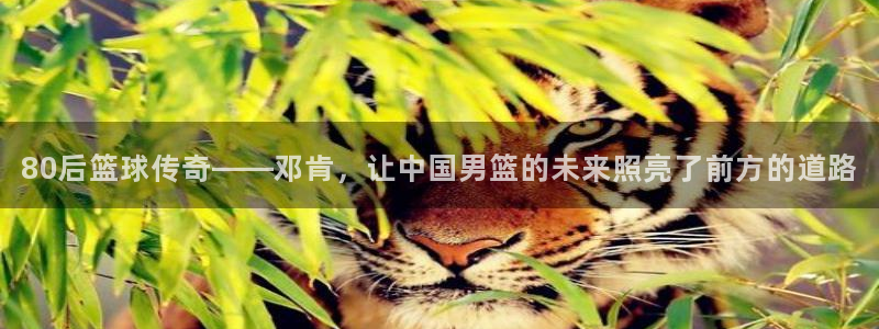 833直播免费体育直播下载：80后篮球传奇——邓肯，让中国男篮的未来照亮了前方的道路