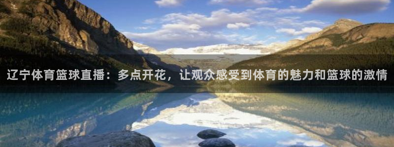 nba833直播：辽宁体育篮球直播：多点开花，让观众感受到体育的魅力和篮球的激情