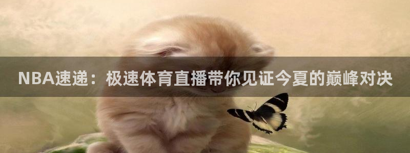 833直播足球比赛官网：NBA速递：极速体育直播带你见证今夏的巅峰对决