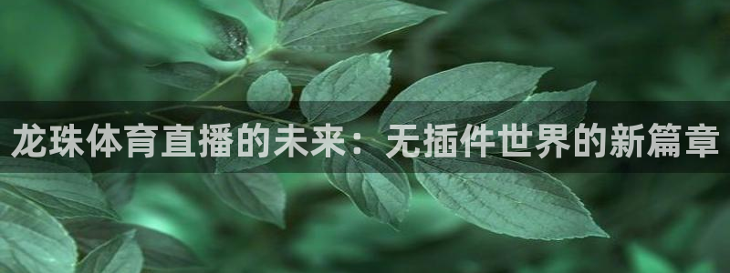 833足球直播网：龙珠体育直播的未来：无插件世界的新篇章
