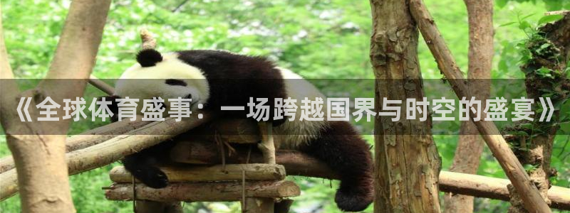 833体育免费直播平台：《全球体育盛事：一场跨越国界与时空的盛宴》