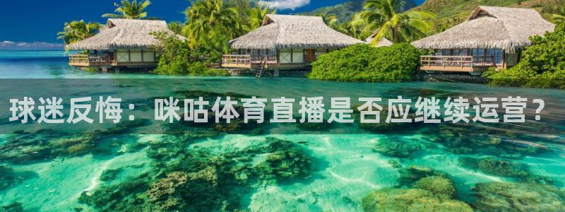 833足球赛事直播：球迷反悔：咪咕体育直播是否应继续运营？