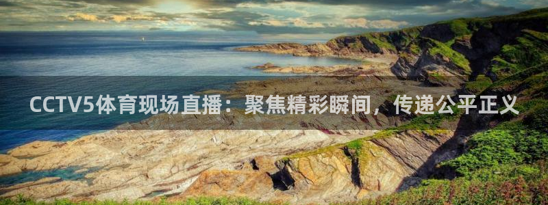 833直播体育免费观看：CCTV5体育现场直播：聚焦精彩瞬间，传递公平正义