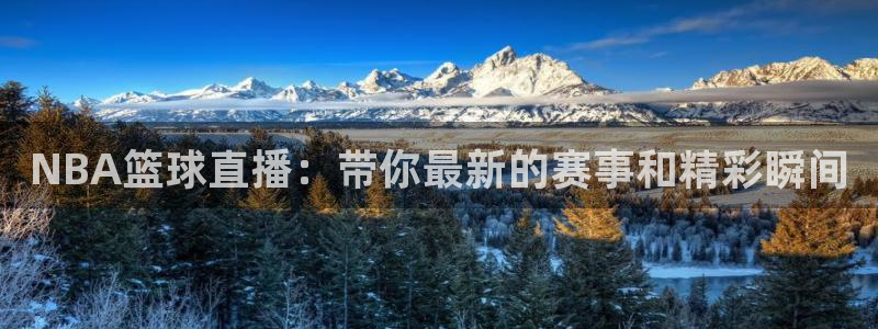 833直播体育nba：NBA篮球直播：带你最新的赛事和精彩瞬间