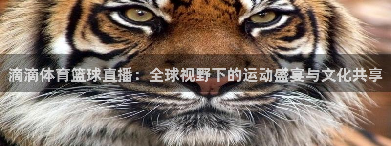 833直播比赛免费观看入口：滴滴体育篮球直播：全球视野下的运动盛宴与文化共享
