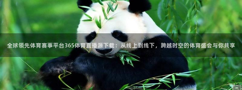 833足球直播在线观看：全球领先体育赛事平台365体育直播源下载：从线上到线下，跨越时空的体育盛会与你共享