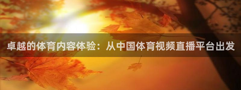 833体育直播在线观看：卓越的体育内容体验：从中国体育视频直播平台出发