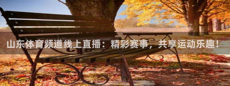 833体育直播免费观看：山东体育频道线上直播：精彩赛事，共享运动乐趣！