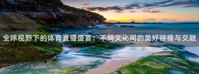 833比赛直播观看：全球视野下的体育直播盛宴：不同文化间的美好碰撞与交融