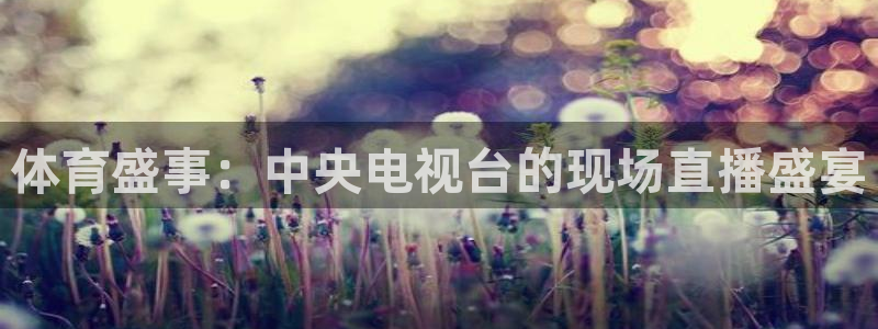 833篮球体育免费直播平台：体育盛事：中央电视台的现场直播盛宴